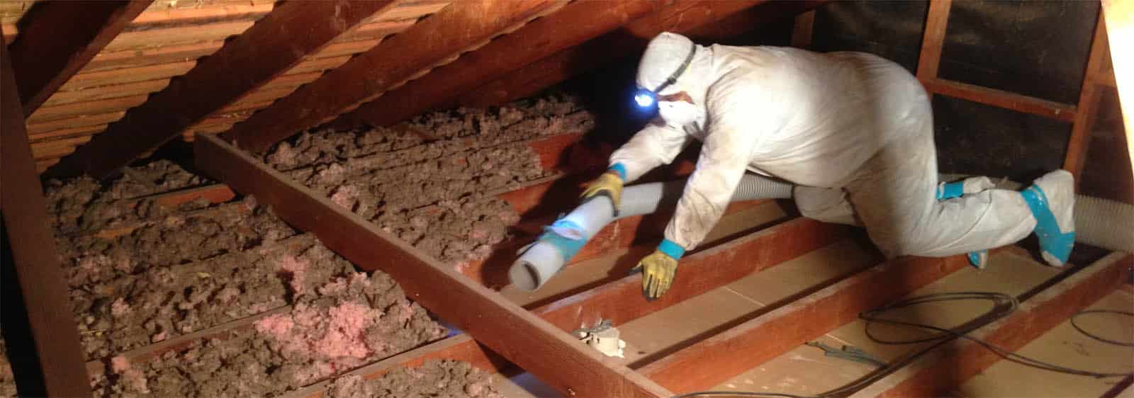 remove insulation from attic